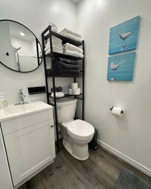 Shower, hair dryer, towels, soap