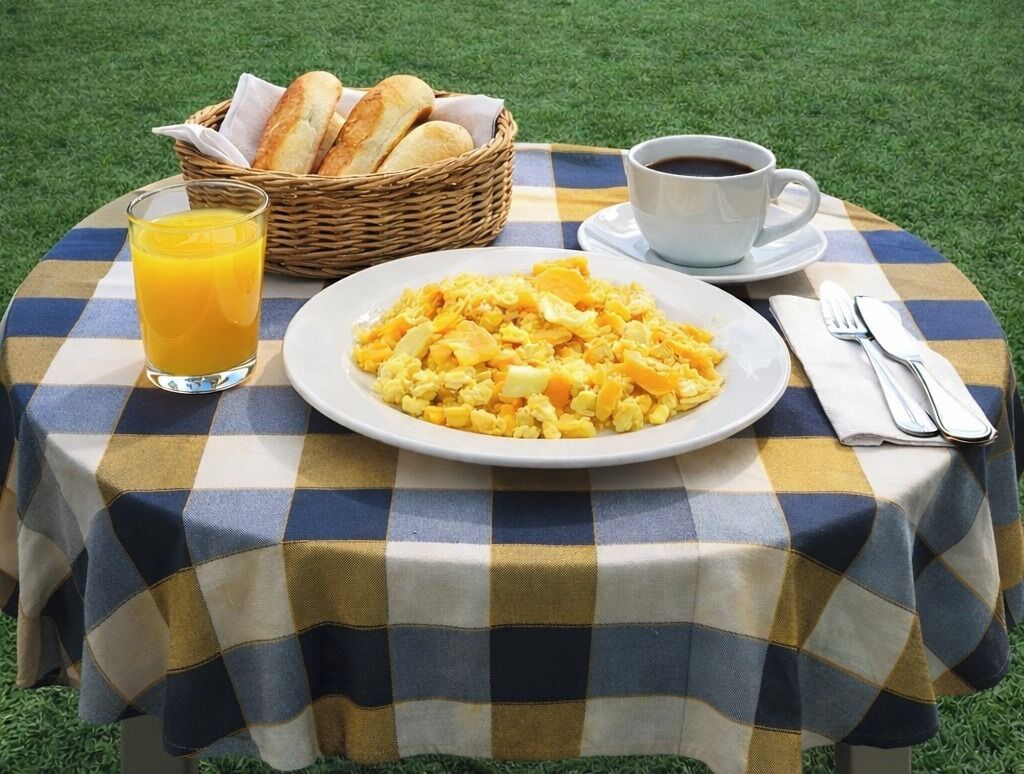Desayuno con huevos revueltos, tostadas, jugo y café, sobre un mantel a cuadros al aire libre.
