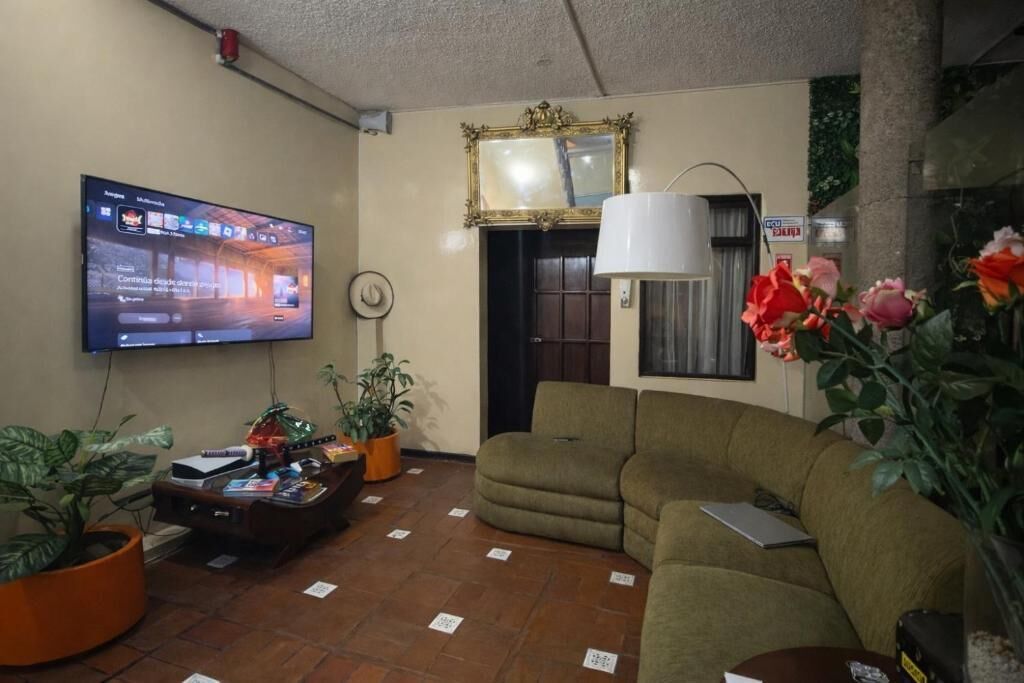 Una sala de estar con televisión, sofá, plantas en macetas y un espejo.