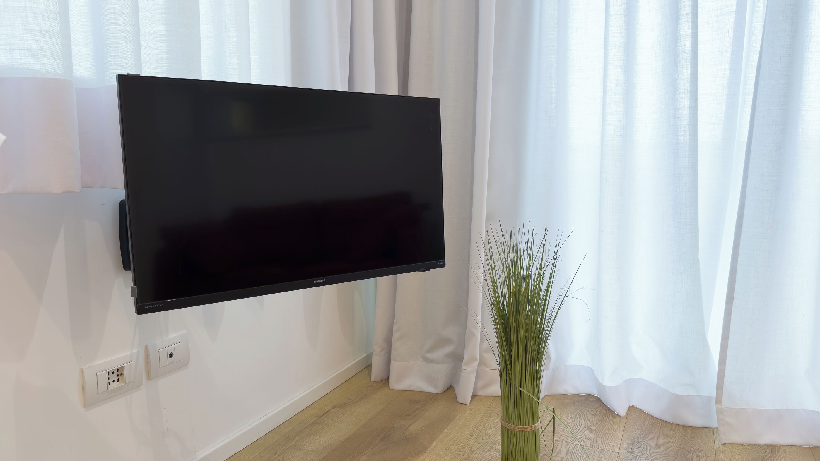 Un televisor de pantalla plana montado en una pared blanca, un enchufe y una planta en maceta con hojas verdes largas.