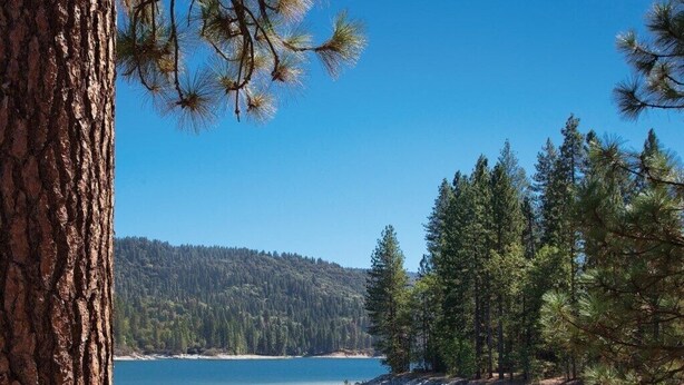 A serene lakeside view with a clear sky, surrounded by dense forest and a rocky shoreline. - Bass Lake | Group Lake Getaway | Pool + Lake | 2BR (Bass Lake)