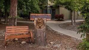A wooden bench and a tree stump with a bear face carved into it, with a sign above reading "Lake Access Trail". - Bass Lake | Group Lake Getaway | Pool + Lake | 2BR (Bass Lake)