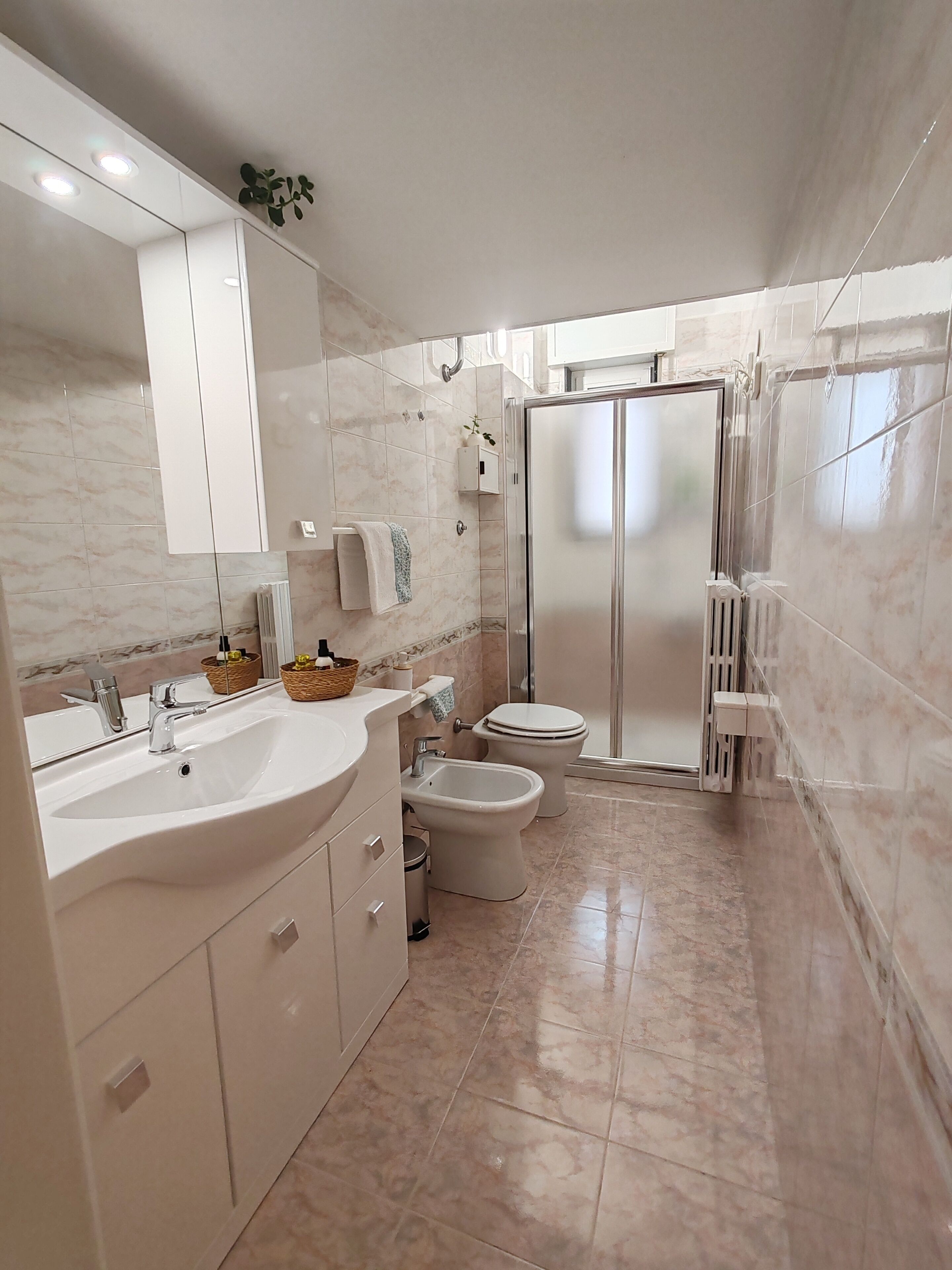 Shower, hair dryer, bidet, towels