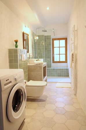 Hair dryer, towels, toilet paper - Duplex Eva (L'Île-Rousse)