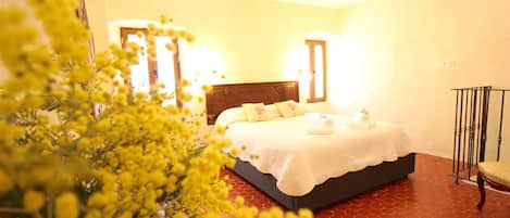 Iron/ironing board, Internet, bed sheets