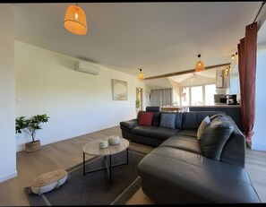 TV, DVD player - Cottage in the Basque Mountains with View, Wi-Fi and Air Conditioning (Ossès)