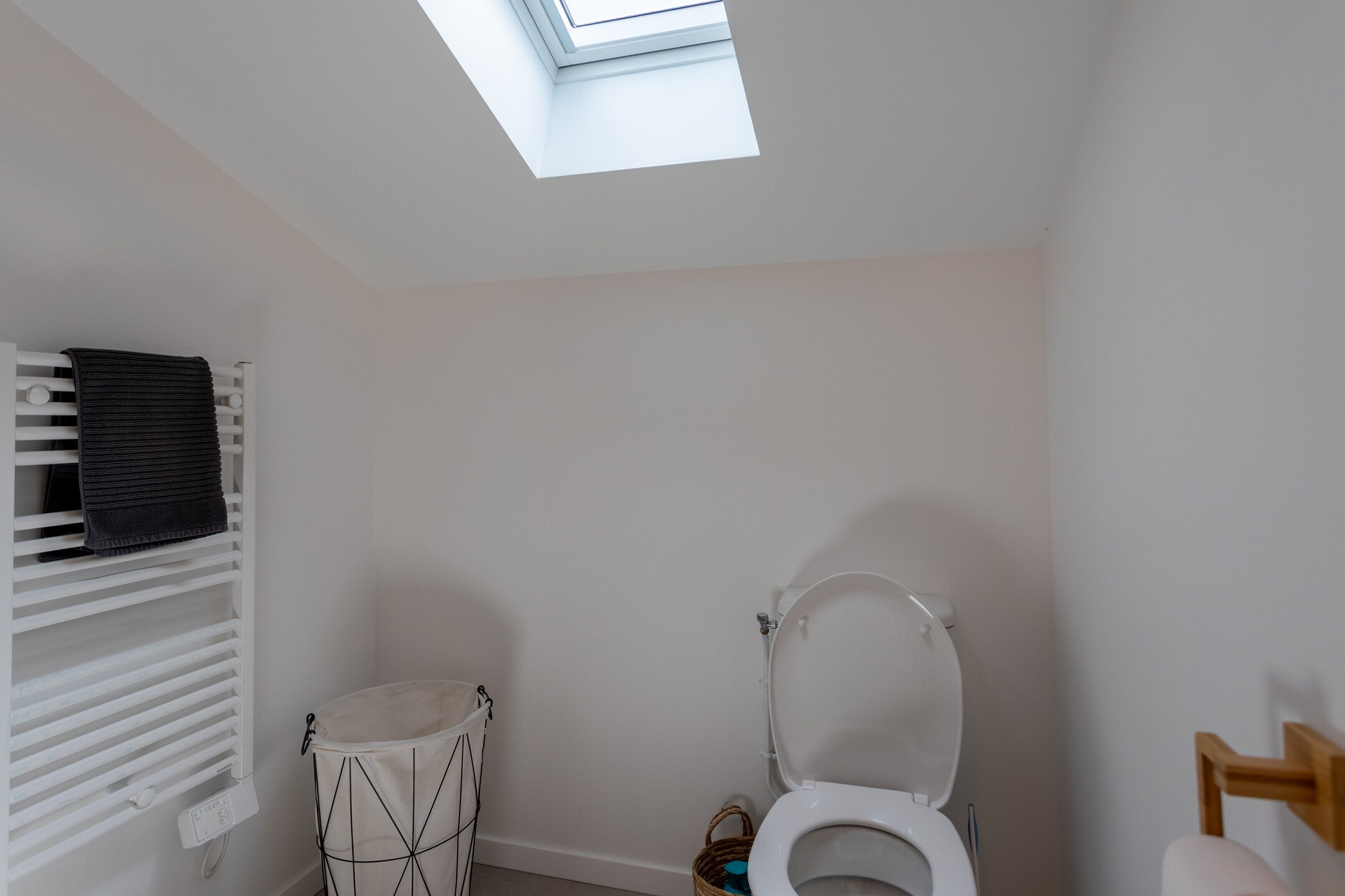 Ein Badezimmer mit einem Oberlicht, einer weißen Toilette, einem Handtuchhalter und einer kleinen Mülltonne.