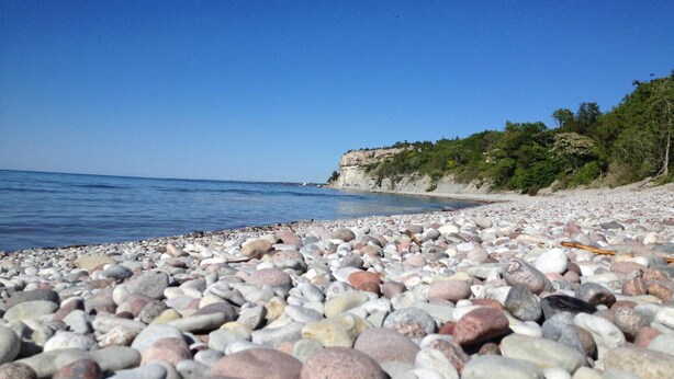A pebble beach with a clear blue sky and a rocky coastline. - 4 Star Holiday Home in Gotlands Tofta (Gotlands Tofta)