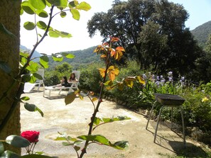 Terrace/patio - GITE U BUGNU (Vico)