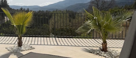 حمّام سباحة خارجي موسمي