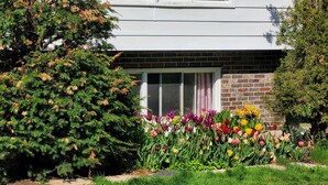 Una casa amb façana de maó, una finestra amb cortines i un jardí ple de flors diverses.
