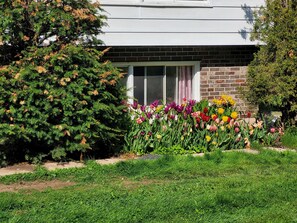 Exterior detail - 3 Bedroom, Full Kitchen, Fire pit, Parking + Yard. Close to the Airport. (Lincoln Parish)