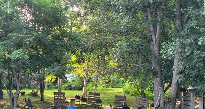 3 Bedroom, Full Kitchen, Fire pit, Parking + Yard. Close to the Airport.