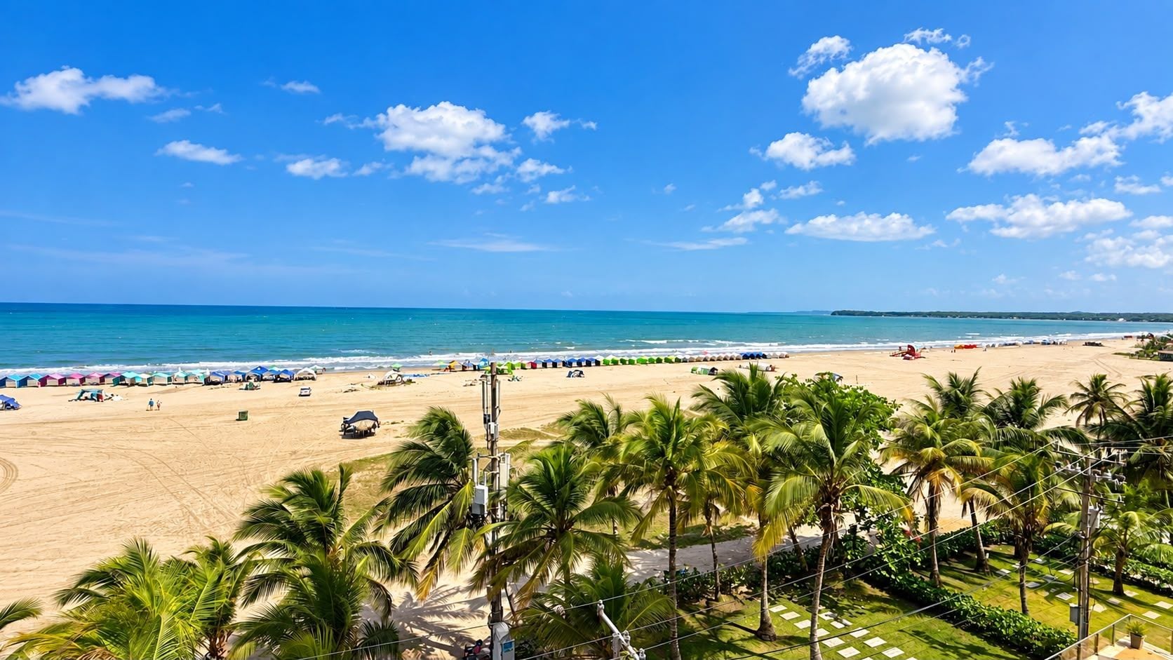A beach with palm trees, umbrellas, and a clear sky.
