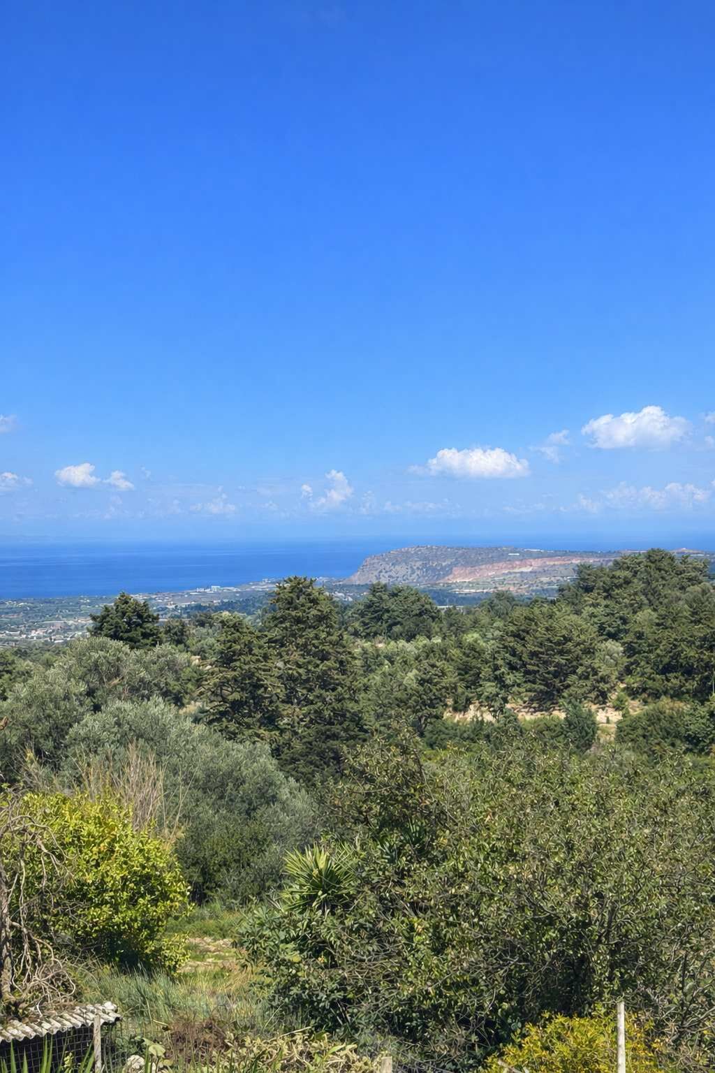 A coastal landscape with dense greenery and a clear blue sky.