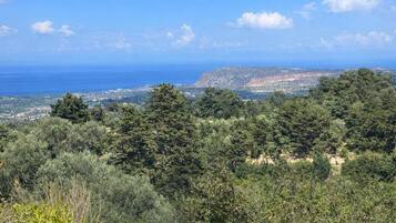 A coastal landscape with dense greenery and a clear blue sky.