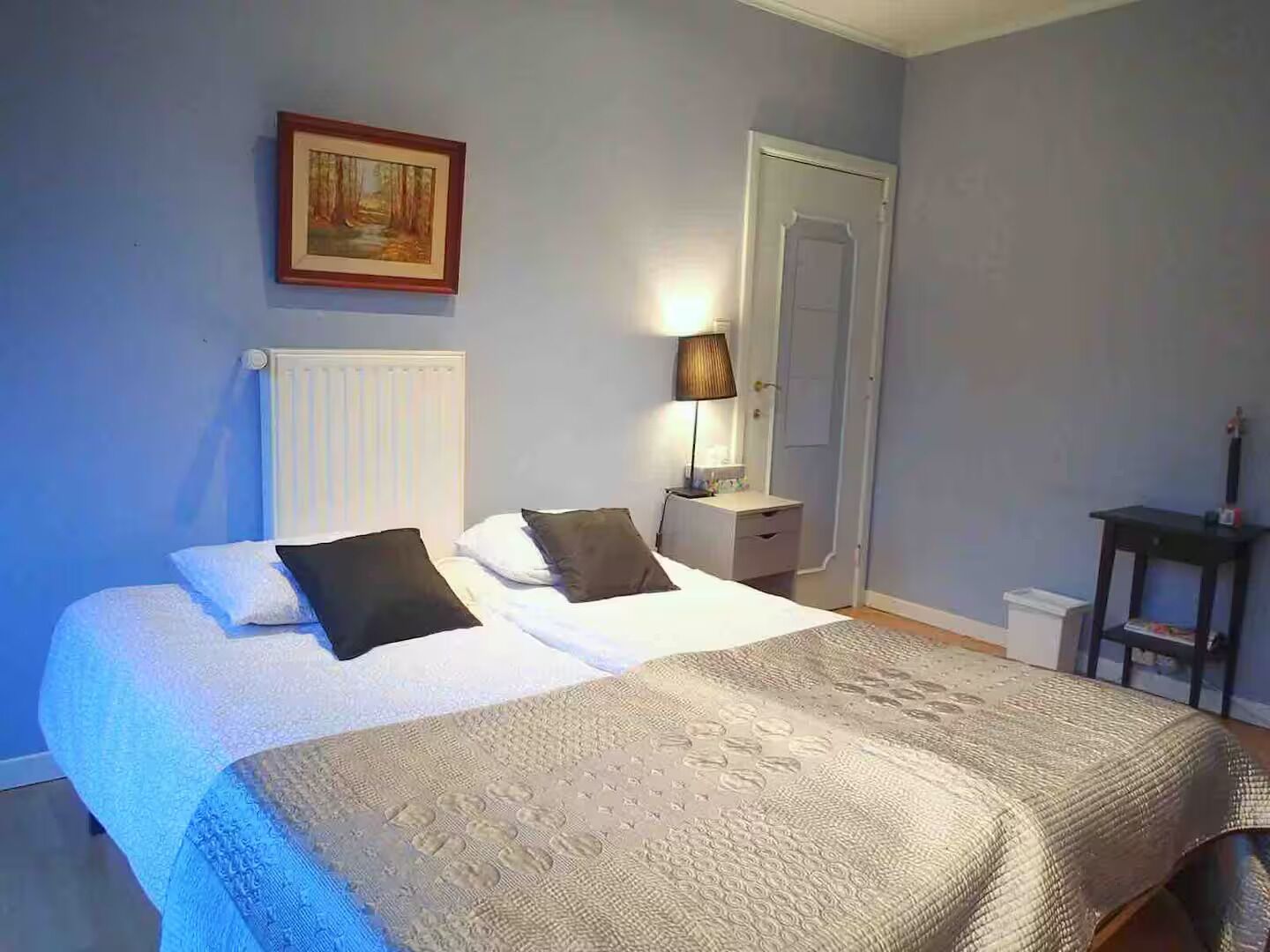 Fer et planche à repasser, Wi-Fi, literie fournie