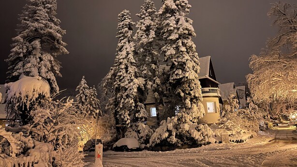 Paisagem coberta de neve com uma casa e árvores.