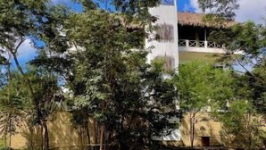 A building with a thatched roof structure, surrounded by dense foliage and trees. - Hotel Ich Ha Tulum - Adults Only  (Tulum)