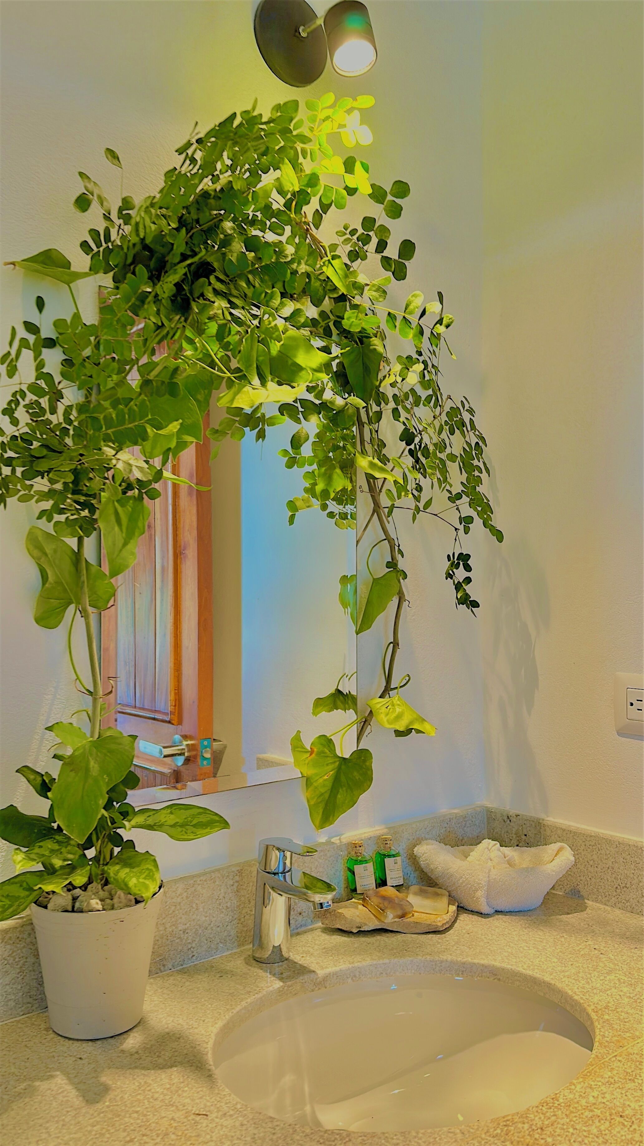 A bathroom with a sink, a mirror, a potted plant, and a towel rack.