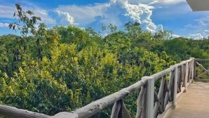 A wooden bridge with railings, surrounded by lush greenery and a clear blue sky with clouds. - Hotel Ich Ha Tulum - Adults Only  (Tulum)