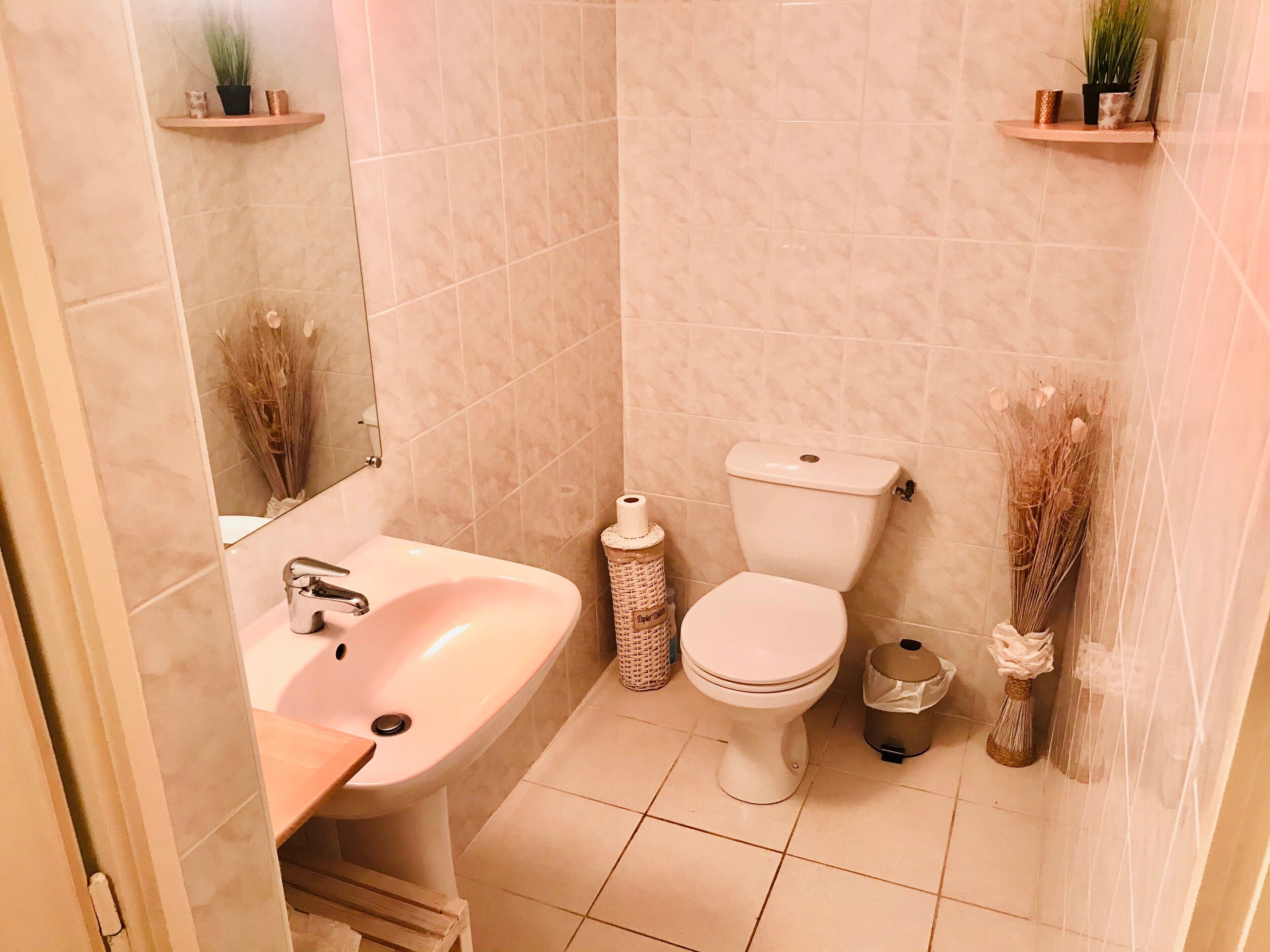 A bathroom with a sink, toilet, and decorative plants.