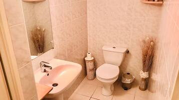 A bathroom with a sink, toilet, and decorative plants.