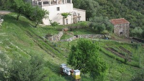 A white building with a tiled roof, surrounded by greenery and a stone wall. - Nature Refuge with Sea Views and Dream Sunsets on Elba Island (Toscana)