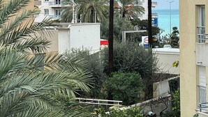 Un edificio residencial con varios balcones, palmeras y vista al mar.