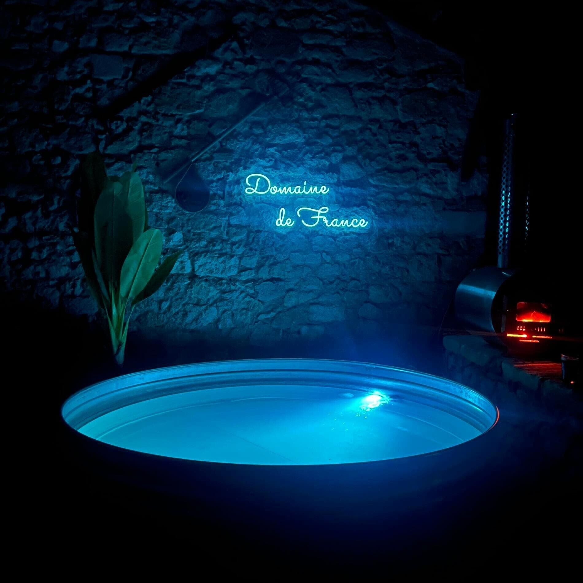 A dimly lit room with a stone wall, a blue-lit circular object, and a neon sign reading 'Domaine de France'.