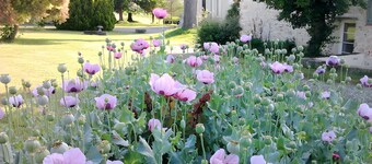 Gîte le Rosier – Domaine de France, Ideal for Families near Penne d’Agenais