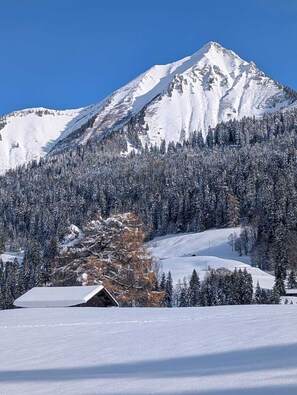 Billede uden beskrivelse, 3 af 13, knap