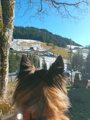 Botón de imagen sin clasificar, 2 de 13