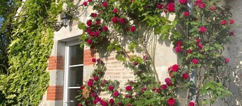 Dog-Friendly Retreat for Couples