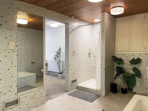 Hair dryer, towels, soap, toilet paper - Mid-Century Masterpiece (Dudley)