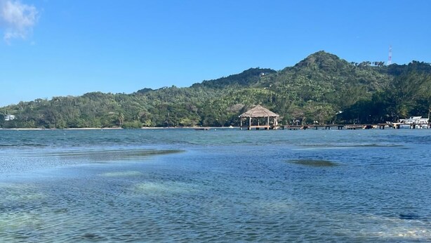 A clear view of a beach with calm water, a small hut, and a hill with dense vegetation in the background.