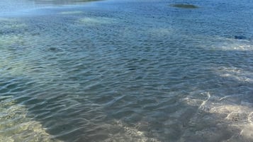 Playa en los alrededores, camastros y toallas de playa