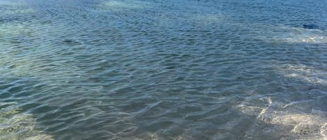 Plage à proximité, chaise longue, serviettes de plage