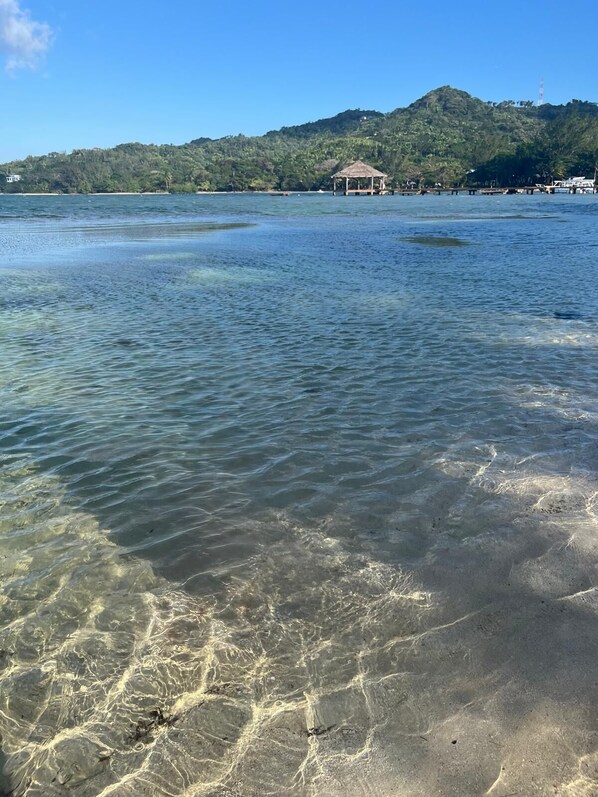 Plage à proximité, chaise longue, serviettes de plage