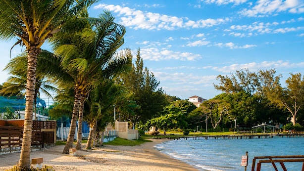 A beach with palm trees, a wooden bench, and a sign indicating no swimming. - A retreat with a garden and swimming pool next to the lagoon. (Iguaba Grande)