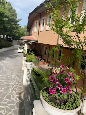 Property grounds - Bright B&B with Balcony - 349 - Santangelo - Pool (Monte Sant'Angelo)