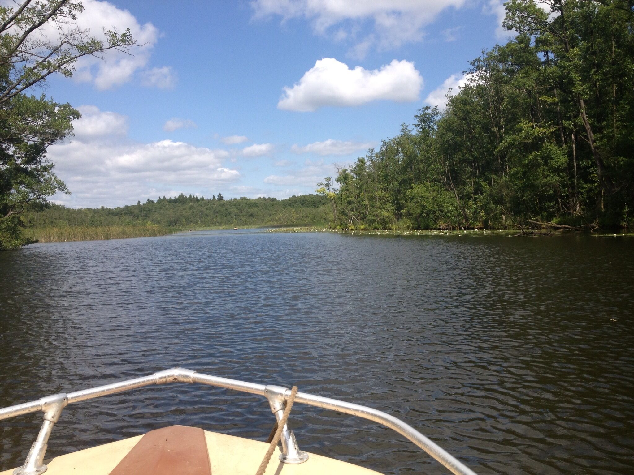 A boat on a calm river with dense forest on both sides.