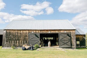 Exterior - Gracious, updated, and classic 5-bedroom farmhouse in gorgeous Chesterfield (Chesterfield)