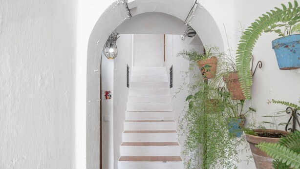 A staircase leading to a room with white walls, a white door, and potted plants. - Apartment ‘Vacacional En Vejer’ (Vejer de la Frontera)