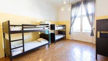 Deluxe Shared Dormitory | In-room safe, iron/ironing board, free WiFi