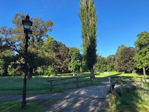 A park pathway with a lamp post, wooden fence, and trees.