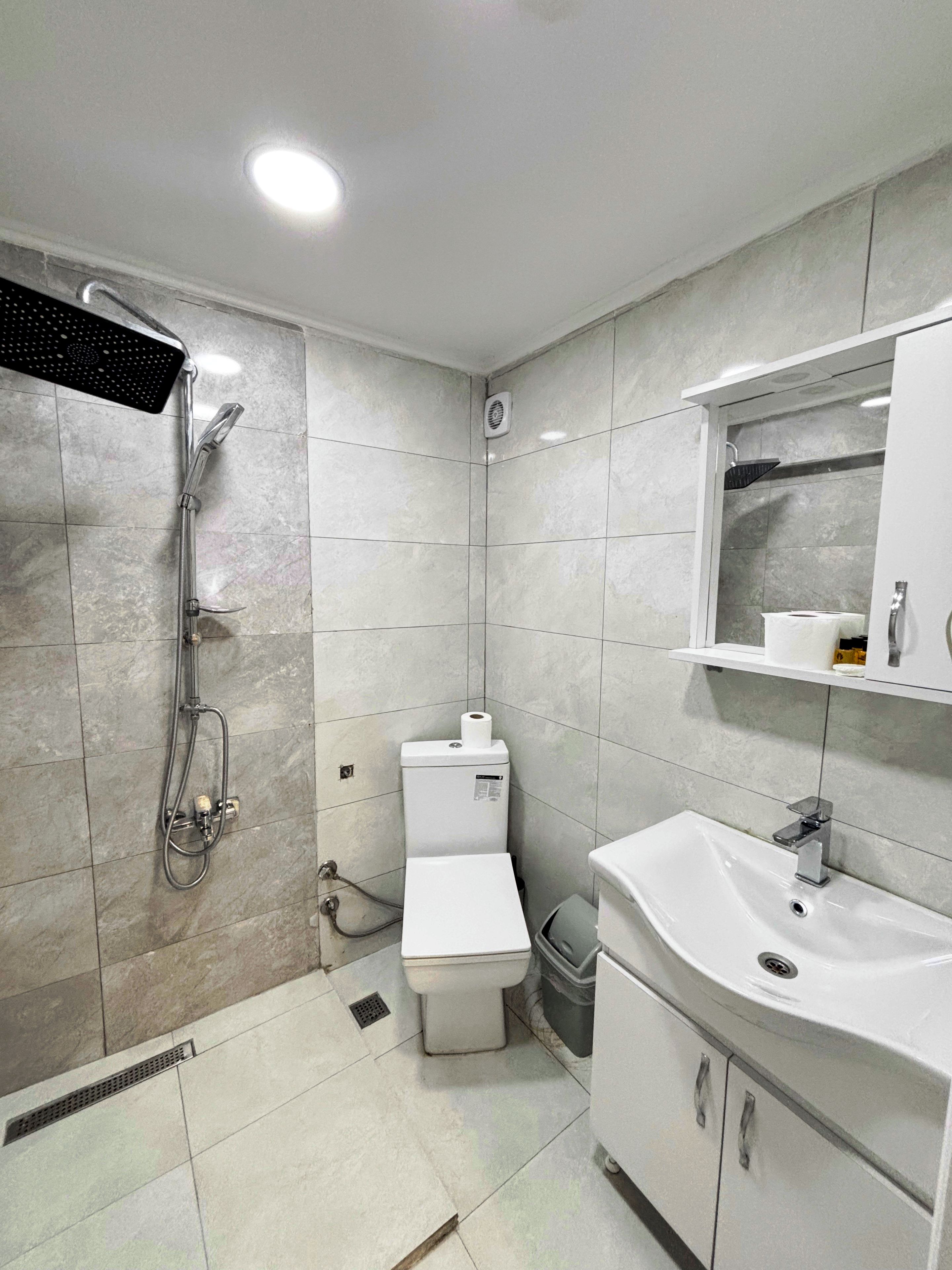 A modern bathroom with a shower, toilet, sink, and a mirror above the sink.
