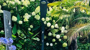 Ein Garten mit einer Holzterrasse, einem Metalllichtmast und verschiedenen blühenden Pflanzen.