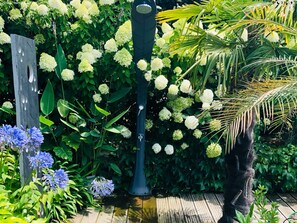 Property grounds - Villa with heated pool and secure 8 pers calm and comfort (Seignosse)