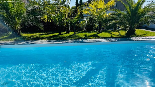 Ein klares, blaues Schwimmbecken, umgeben von üppigem Grün und einem gepflegten Rasen.